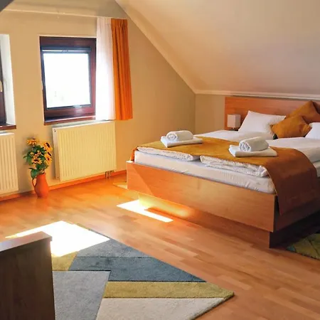 Guest house Ferenc Vendeghaz 4*