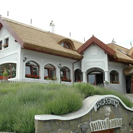 Ferenc Vendeghaz 4* Tihany