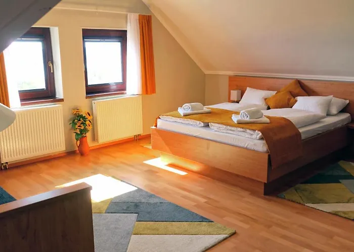 Πανσιόν Ferenc Vendeghaz 4*