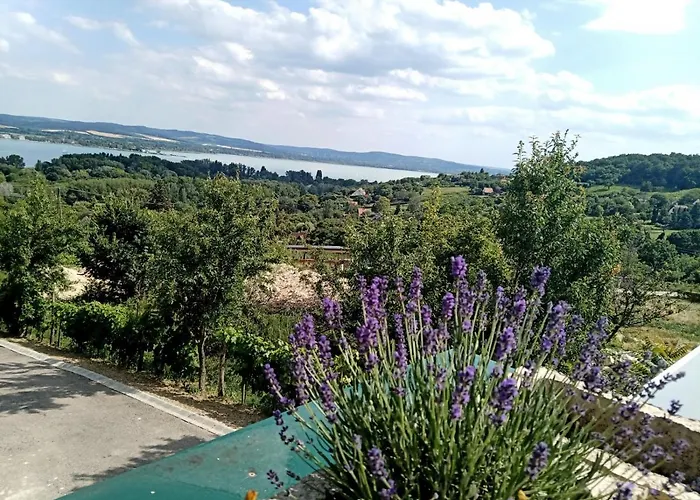 Πανσιόν Ferenc Vendeghaz 4*